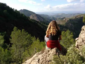 Perfect Rest with Views - Image 5