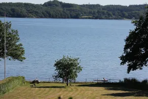 Vejle Fjord panoramic view and forest tranquillity - Image 2
