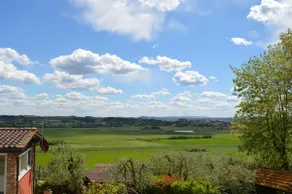 Locazione turistica Casa olivo - Image 3