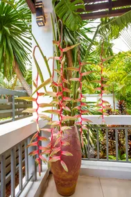 150 m from a paradise beach 3 bedrooms pool - Image 2