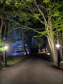 Fairytale Lakefront Resort - Luxury - 6 Acre Oasis - Image 4