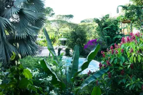 La Argelia - Traditional Estate in the Coffee Region - Image 2