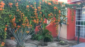 House in La Paz - Image 5