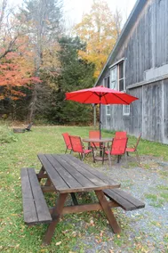 Spacious Renovated Barn Apt on 100 acres! - Image 3