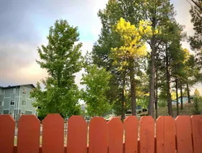 Bike&HikeHouse byTrails/ Forest KingBed & Backyard - Image 2
