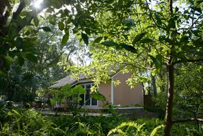 Paradise nook near Orlando's theme parks - Image 3