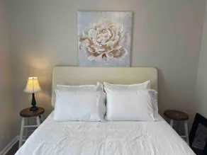 Historic Olde Charlestown - Nehls Suite - Image 2