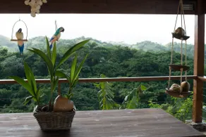 Amazing ocean view,pool,jacuzzy,privacy - Image 5