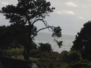 Mendocino Beach House med utsikt och Beach Path direkt från gården! - Image 4