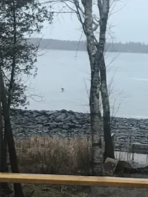 Our ”CampUpta” on Lake Sebasticook - Image 3