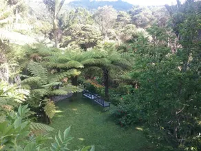 The Punga studio in Titirangi bush-garden setting - Image 3
