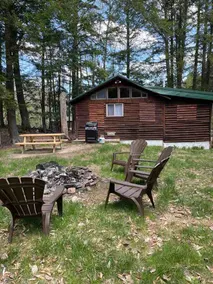 Cozy Cabin with Lake Access - Image 3