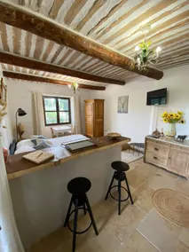 Mas Provençal - St Rémy de Provence Verquieres - Image 4