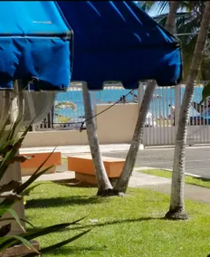 1st floor, A/C Everywhere, Balcony with Beach View in Luquillo - Image 3