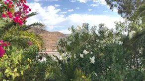 Casa T-four, Las Negras - Image 2