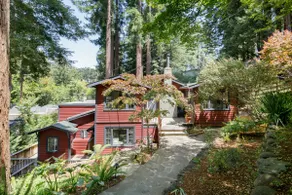 Downtown family oasis in Redwoods - Image 2