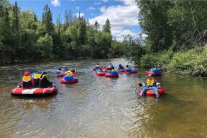 Exciting Family Adventure - Image 4