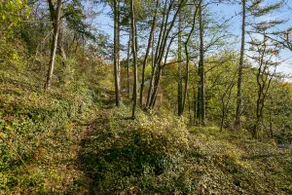 The ”Mountain”, quiet and natural next to Dinant - Image 3