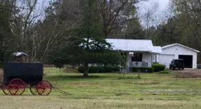 The Dotson House - Image 3