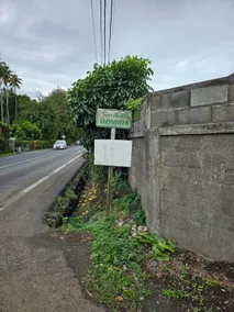 Puna Home - Image 3