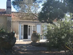 Between sea and forest. Sea front, panoramic view - Image 3