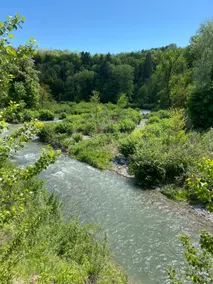 Family villa, hot tub, by the river - Image 5