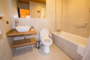 CABIN FOR 2 PEOPLE VILLARRICA - Image 2