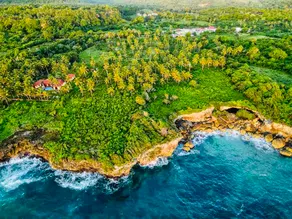 PALM HOUSE ♾ LUXURY VILLA | SAMANÁ | OCEAN FRONT - Image 3