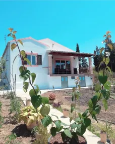 Villa Vicky Corfu - Image 5