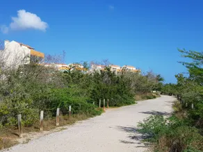 Combate Beach 3/2 penthouse w/ amazing oceanview! - Image 3