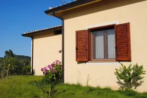 Armandiola - Image 3