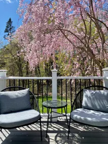 I byen, nyrenoveret studie med privat balkon - Image 2
