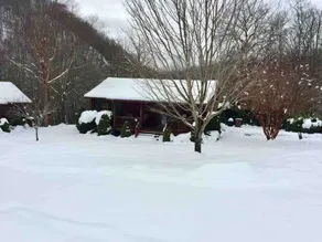 Cuddly Bear cabin. Maggie Valley, NC - Image 5