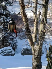 High Point Mountain House ~ Summer on the Mtn! - Image 3