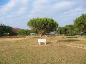 Casa Malyma beachfront 10 pers /option +15 pers - Image 2