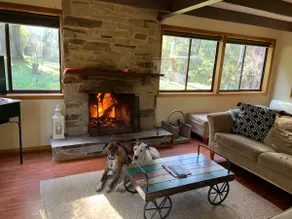 Lauri's Cottage - Secluded & Pet Friendly - Image 2