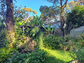 Cosy house with tropical garden - Image 3