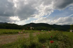 River Perch Glamping at Paint Rock Farm # 3 - Image 4