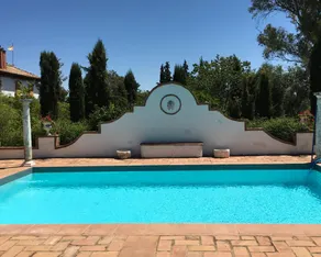 Luxury nature palace with pool and WiFi - Image 2