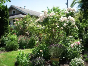 Delightful Garden Suite Near Airport & Downtown - Image 4