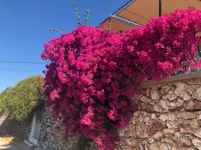 Villa Konstantina - Image 2