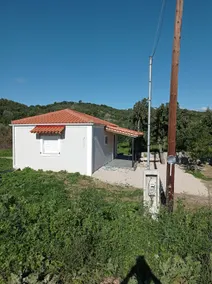 Avocado house - Image 3
