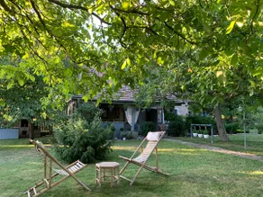 Creative House - Shelter - Image 3