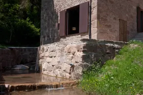 El Molí de Bracons - Image 2