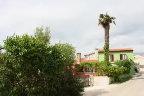 House Bougainvillea - Image 5