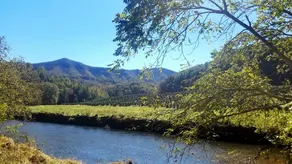 Sugar Tree Lodge - The Sweetest Place To Be. - Image 4
