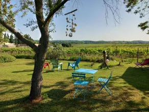 Cozy gîte with garden between vineyards and river - Image 2