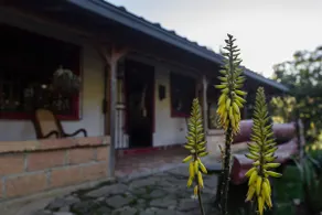 Ideal property to get away from it all in Santa Elena - Image 3