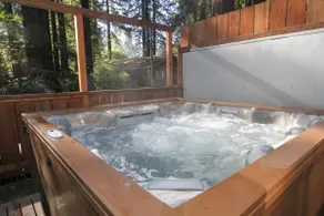 Guerneville-2BR/1.5BA-SPA-wineries - Image 4
