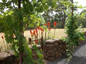 Casina Marcella - country house - Image 3